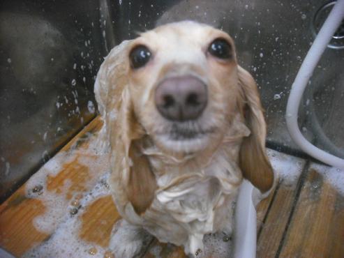 ファイル 2340-2.jpg