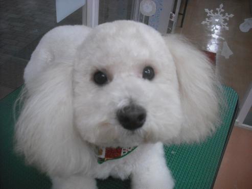 ファイル 2342-1.jpg