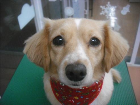 ファイル 2343-1.jpg