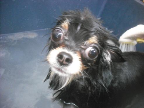 ファイル 2344-2.jpg