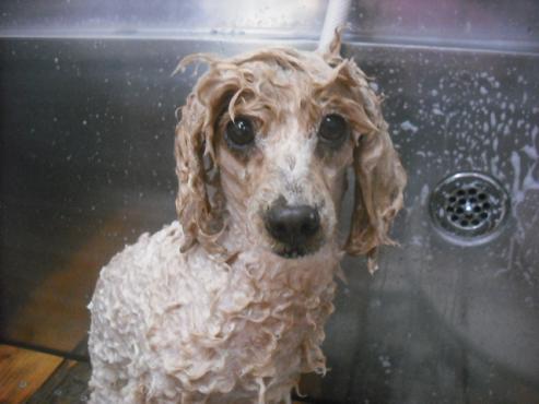 ファイル 2345-2.jpg