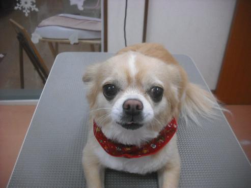 ファイル 2346-1.jpg