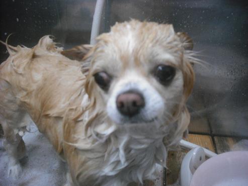 ファイル 2346-2.jpg