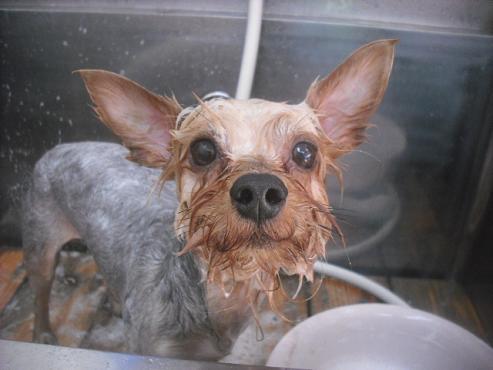 ファイル 2347-2.jpg