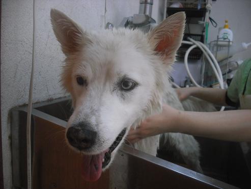 ファイル 2348-2.jpg