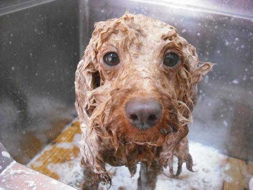 ファイル 235-2.jpg