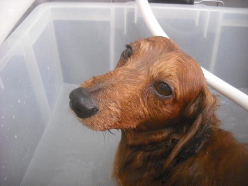 ファイル 2350-2.jpg