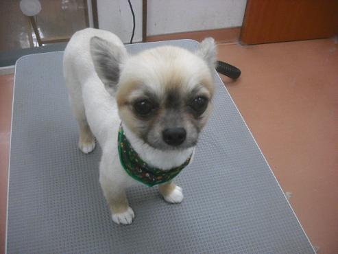 ファイル 2351-1.jpg