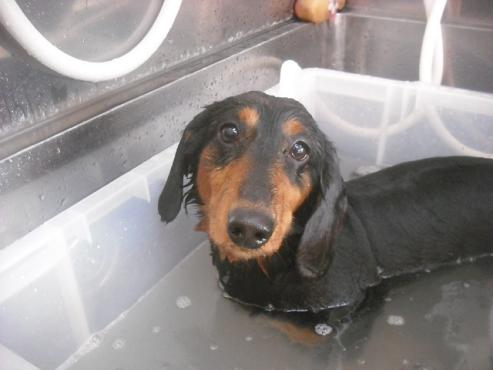 ファイル 2352-2.jpg