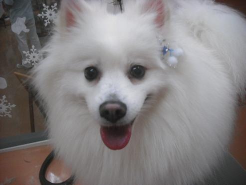 ファイル 2354-1.jpg