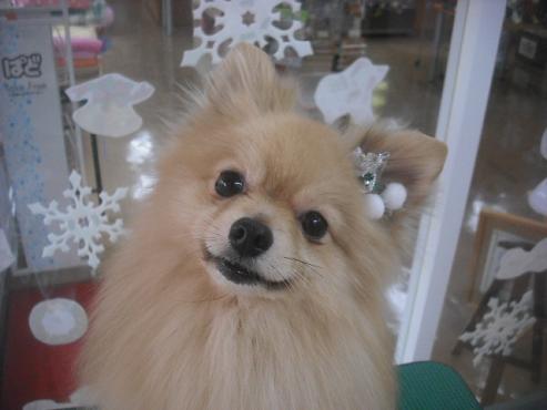 ファイル 2355-1.jpg