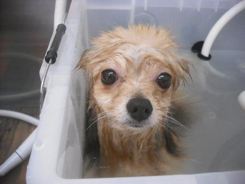 ファイル 2355-2.jpg