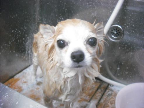 ファイル 2357-2.jpg