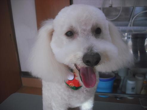 ファイル 2358-2.jpg