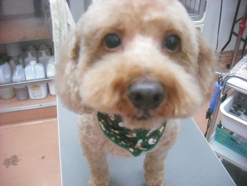 ファイル 2359-2.jpg