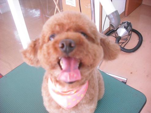 ファイル 236-2.jpg