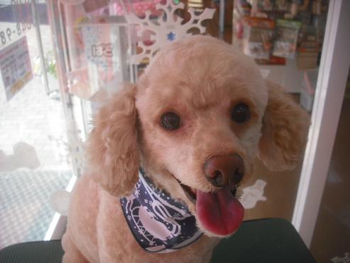 ファイル 2362-1.jpg