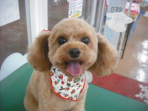 ファイル 2364-1.jpg