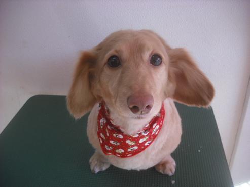 ファイル 2366-1.jpg