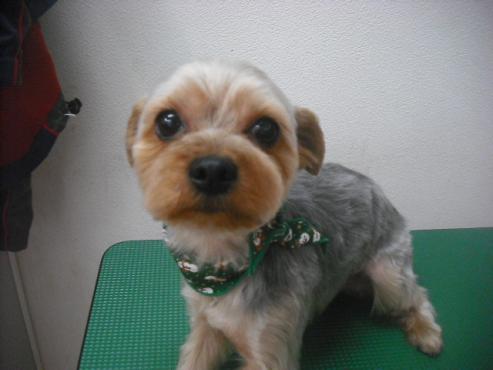 ファイル 2369-1.jpg