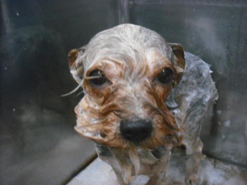 ファイル 2369-2.jpg