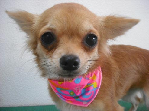 ファイル 237-1.jpg