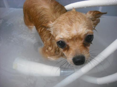 ファイル 237-2.jpg