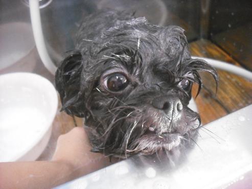 ファイル 2371-2.jpg