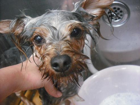 ファイル 2372-2.jpg