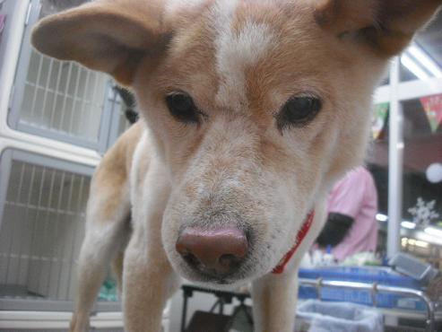 ファイル 2373-2.jpg