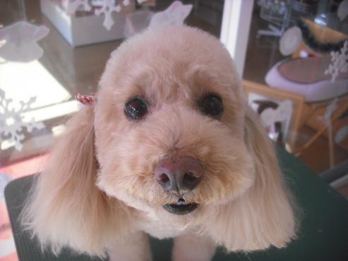 ファイル 2374-1.jpg