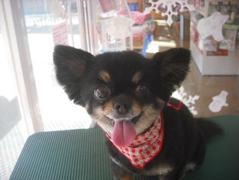 ファイル 2375-1.jpg