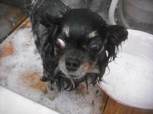 ファイル 2375-2.jpg