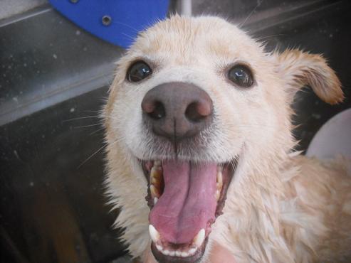 ファイル 2376-2.jpg