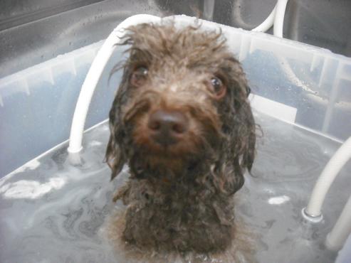 ファイル 2377-2.jpg