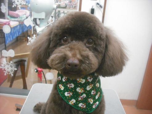 ファイル 2378-1.jpg