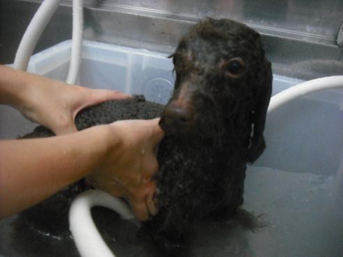 ファイル 2378-2.jpg