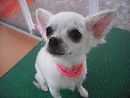 ファイル 238-1.jpg