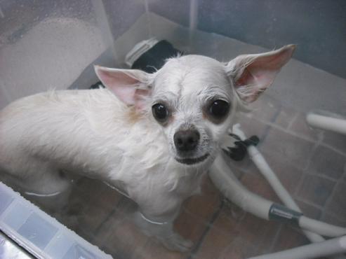 ファイル 238-2.jpg