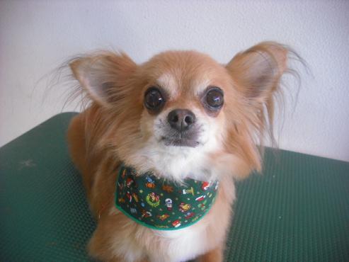 ファイル 2380-1.jpg