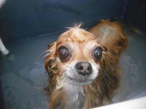 ファイル 2380-2.jpg