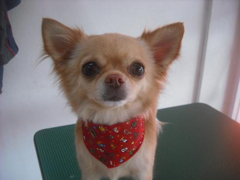 ファイル 2381-1.jpg