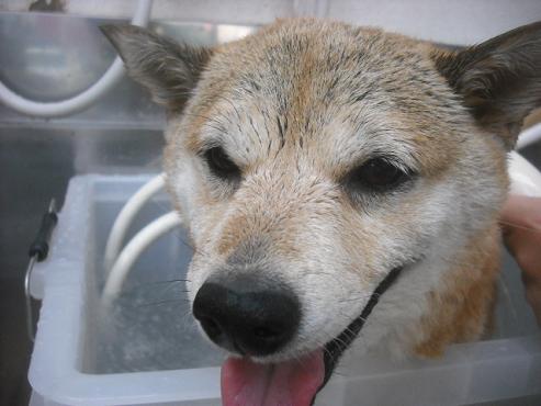 ファイル 2382-2.jpg