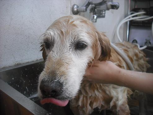 ファイル 2384-2.jpg