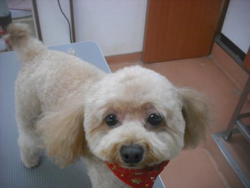 ファイル 2385-2.jpg