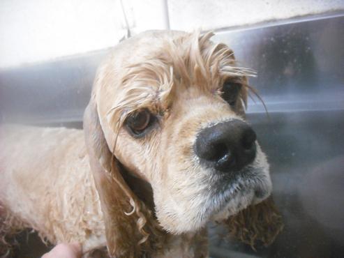 ファイル 2387-2.jpg