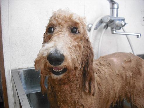 ファイル 239-2.jpg