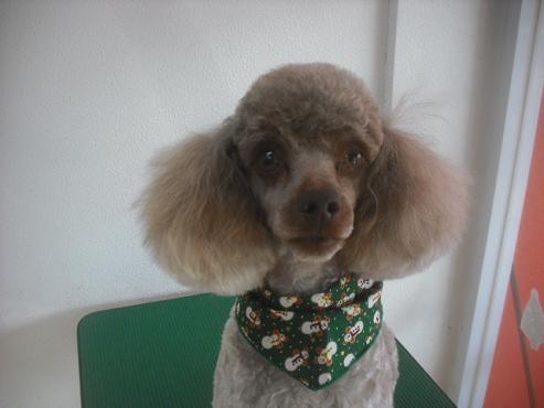 ファイル 2391-1.jpg