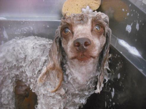 ファイル 2391-2.jpg