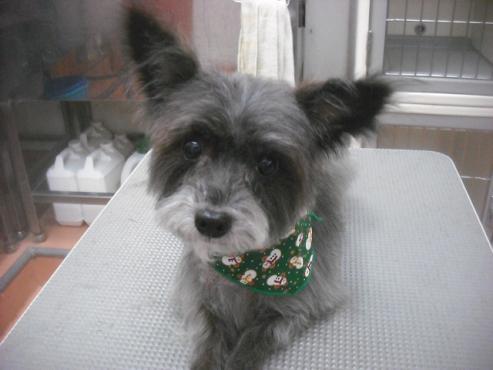 ファイル 2392-1.jpg